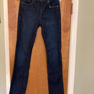James Jeans Hunter variety.  Blue denim, size 0